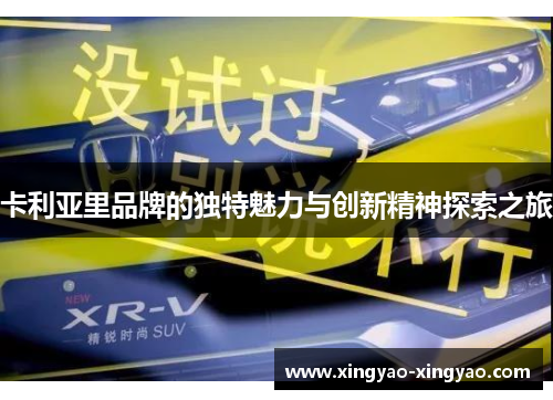 卡利亚里品牌的独特魅力与创新精神探索之旅