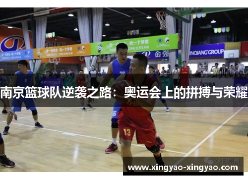 南京篮球队逆袭之路：奥运会上的拼搏与荣耀