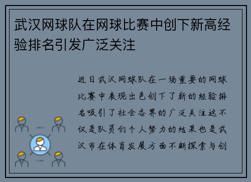 武汉网球队在网球比赛中创下新高经验排名引发广泛关注