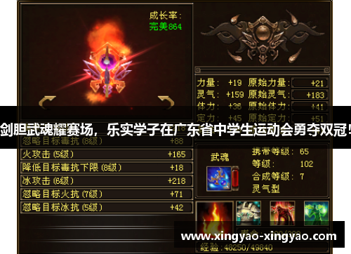 剑胆武魂耀赛场，乐实学子在广东省中学生运动会勇夺双冠！